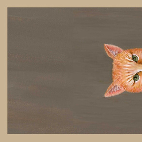 SP towel ginger cat