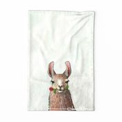 SP towel llama