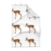 Lovely Fawn - basic repeat for quilting squares