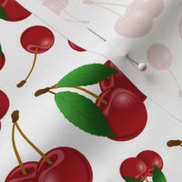 sweet red cherries on white