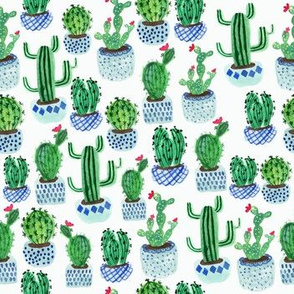 Cactus potplants  - white