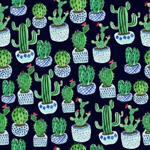 Cactus potplants -navy