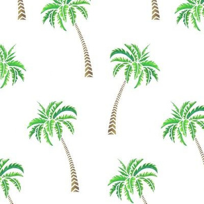 Coconut Palms on White