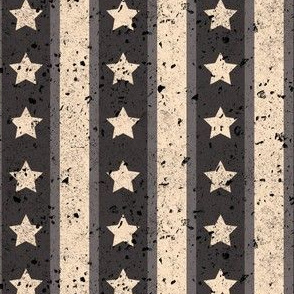 Stars and Stripes Monochromatic Light 