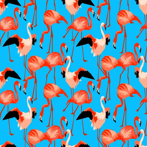 Flamingo Orange on Blue Water