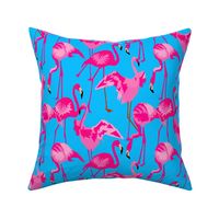 Flamingo Fuschia on Blue Water