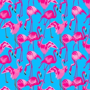 Flamingo Fuschia on Blue Water