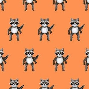 Raccoon on orange