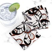 Exotic Glass Butterflies