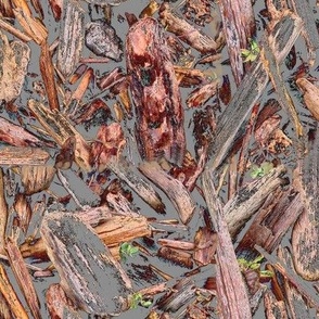 Driftwood in mud -red