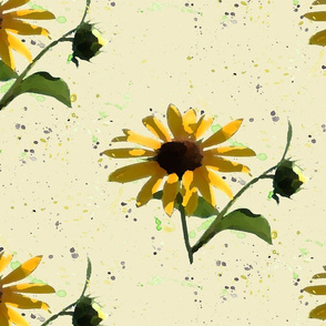 Black Eyed Susan_sunflowers