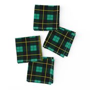 Minimalist Wallace Hunting Tartan Ancient