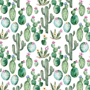 10" Tropical Hand drawn watercolor Cacti on white