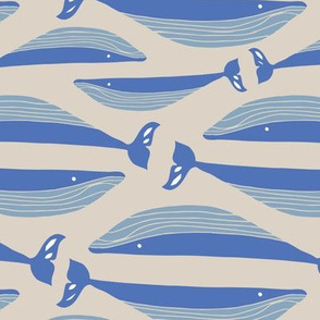  blue whales