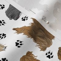 Trotting Tibetan Terriers and paw prints - white