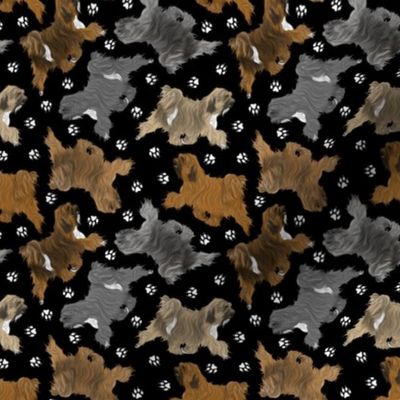 Tiny Trotting Tibetan Terriers and paw prints - black