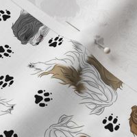Trotting Tibetan Terriers and paw prints B - white