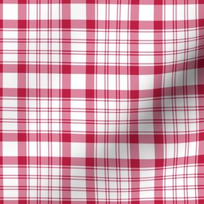 Raspberry Red and White Plaid