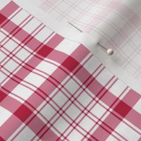 Raspberry Red and White Plaid