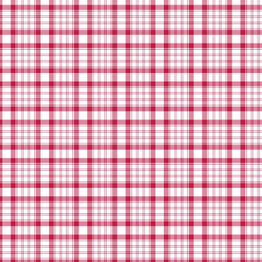 Raspberry Red and White Plaid