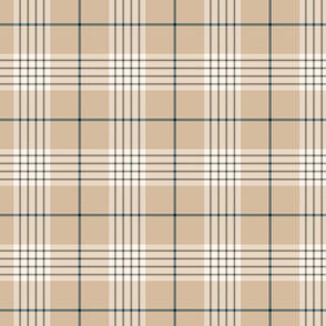 Beige and Navy Blue Plaid