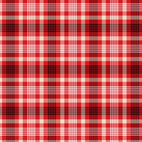 Red Plaid Pattern