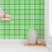 Bright Green and White Plaid