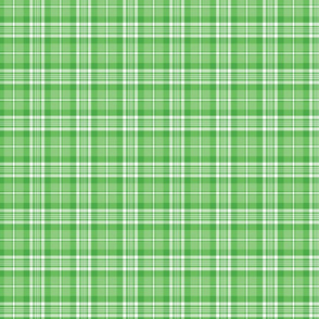 Bright Green and White Plaid