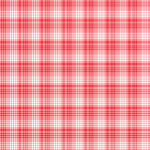 Pink, Red and White Plaid