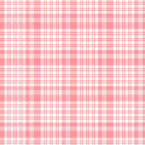 Pink and White Plaid