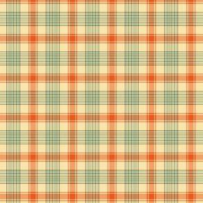 Aqua and Orange Plaid