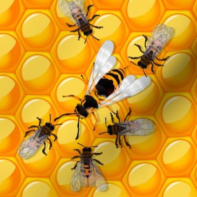 Queen Bee and Bees on Honeycomb