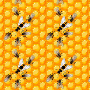 Queen Bee and Bees on Honeycomb