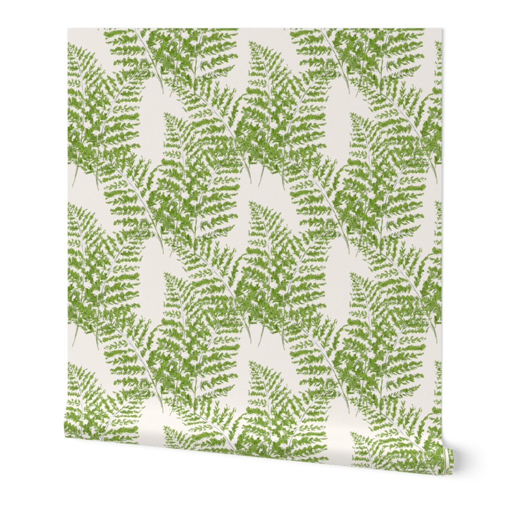 Hand-drawn  Feathery Ferns on ivory