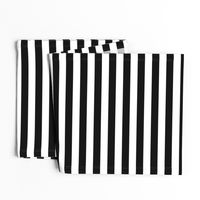 Cat Black and White Horizontal Witch Stripes
