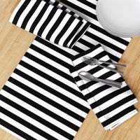 Cat Black and White Horizontal Witch Stripes