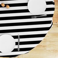 Small Cat Black and White Horizontal Witch Stripes