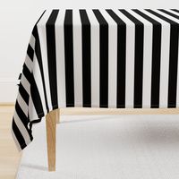 Small Cat Black and White Horizontal Witch Stripes