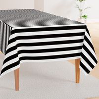 Small Cat Black and White Horizontal Witch Stripes