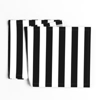 Small Cat Black and White Horizontal Witch Stripes