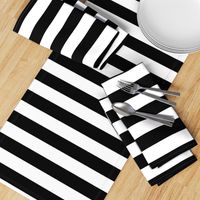 Small Cat Black and White Horizontal Witch Stripes