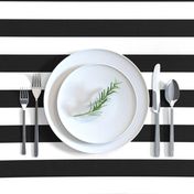 Small Cat Black and White Horizontal Witch Stripes