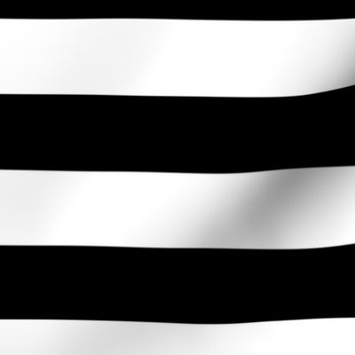 Small Cat Black and White Horizontal Witch Stripes