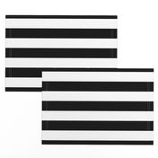 Small Cat Black and White Horizontal Witch Stripes