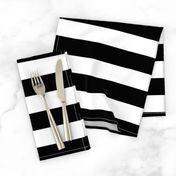 Small Cat Black and White Horizontal Witch Stripes