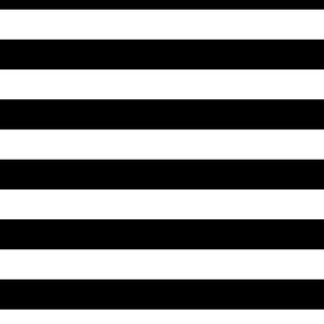 Small Cat Black and White Horizontal Witch Stripes