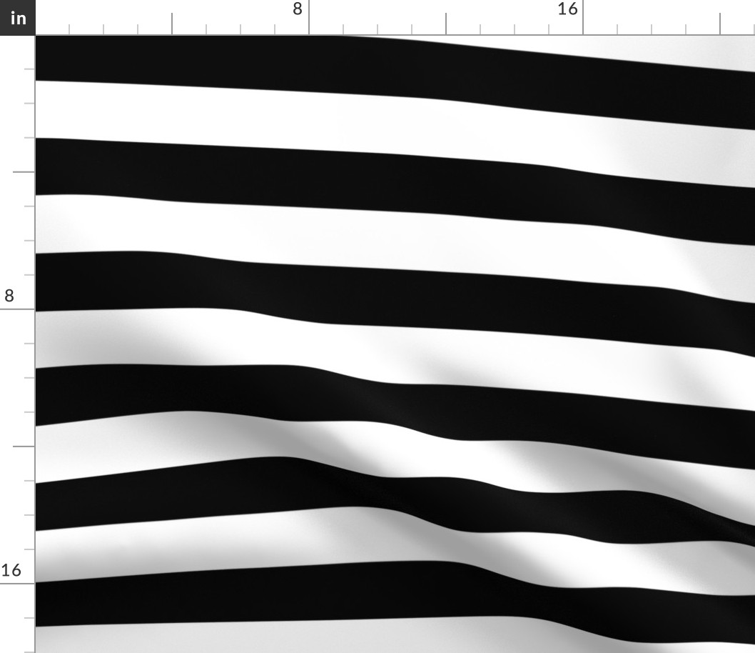 Small Cat Black and White Horizontal Witch Stripes