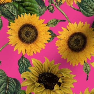 18" Vintage Sunflowers on pink,  sunflower fabric, sunflowers fabric 