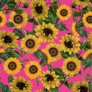 18" Vintage Sunflowers on pink,  sunflower fabric, sunflowers fabric 