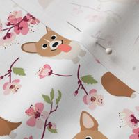 9'" Corgi in spring florals fabric, cherry blossom sakura in asia, white